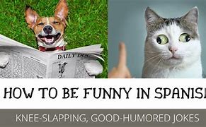 Image result for Cheesy Jokes in Spanish