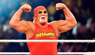 Image result for WWE Ring Hulk Hogan