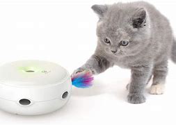 Image result for Electronic Cat Toys