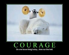 Image result for Funny Quotes About Courage
