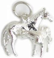 Image result for Horse Charms