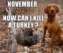 Image result for Turkey Dog Meme