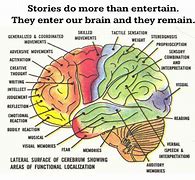 Image result for Complete Brain Diagram