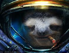 Image result for Cool Sloth Wallpapers