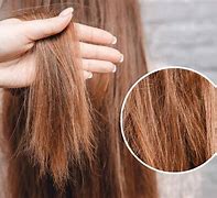 Image result for Dry Damaged Hair