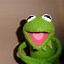 Image result for Aesthetic Funny Wallpaper Kermit