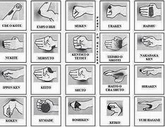 Image result for Types of Karate Punches
