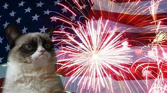 Image result for Patriotic Cat