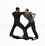 Image result for Dragon Style Kung Fu Stances