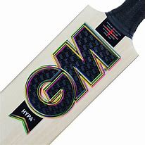 Image result for Cricket Bag GM Hypa