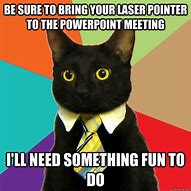 Image result for lasers pointers memes