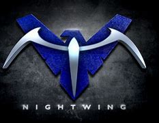 Image result for Nightwing Symbol