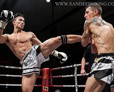 Image result for Muay Thai High Kick