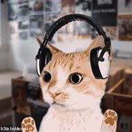 Image result for Cat with Headphones On