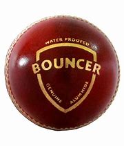 Image result for Cricket Leather Ball SG