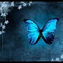 Image result for Blue Butterflies a Bunch Home Screen