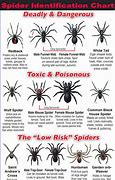 Image result for USA Spider Chart