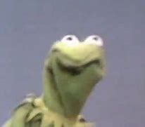 Image result for Kermit Frog Funny Face