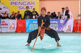 Image result for Indonesian Silat