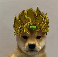 Image result for Doge Meme Character