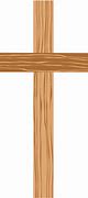 Image result for Wood Cross Section Clip Art