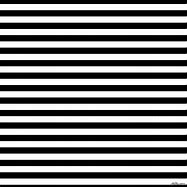 Image result for Horizontal Black and White