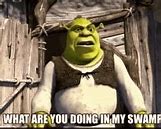 Image result for Shrek Saying What Are You Doing in My Swamp