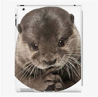 Image result for Otter iPad