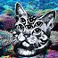 Image result for Drippy Cat Wallpaper