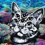 Image result for Trippy Cat Aesthetic