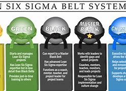 Image result for 6 Sigma Black Belt