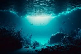 Image result for Bottom of the Ocean Floor