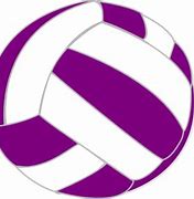 Image result for Volleyball Purple and Black