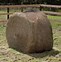 Image result for Hay Chixround Bale Hay Net