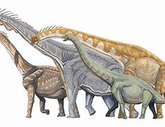 Image result for Big Dinosaur Book