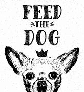 Image result for Feed the Dog
