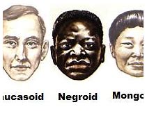 Image result for Biological Differences in Races