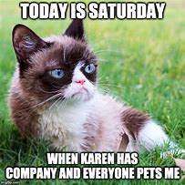 Image result for Saturday Cat Meme