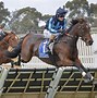 Image result for Horse Hurdle Race