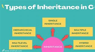 Image result for C# Inheritance Example