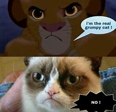 Image result for Grumpy Cat Disney Memes