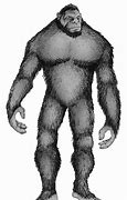 Image result for Bigfoot Animal