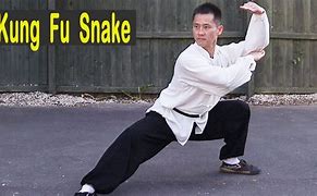 Image result for Snake Stance Kung Fu