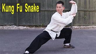 Image result for Shaolin Kung Fu Snake Style Bassic