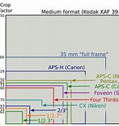 Image result for Compare Camera Sensor Sizes