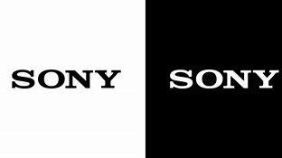 Image result for Sony White PNG