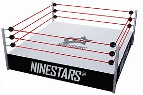 Image result for WWE Wrestling Ring Merchandise