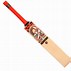 Image result for CA. 15.000 Cricket Bat