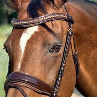 Image result for Bridle for Women