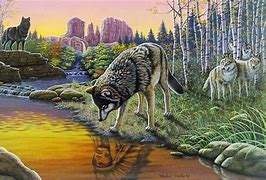 Image result for Wolves by River Painting